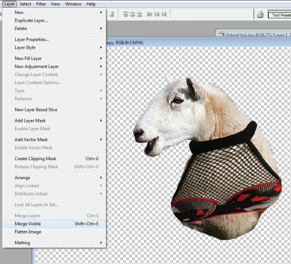 Creation of Pimpin' Wool: Step 2